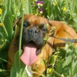 Illustration du profil de Nicolas