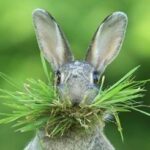 Illustration du profil de Julien