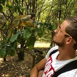 Illustration du profil de Alexis Baldassarre